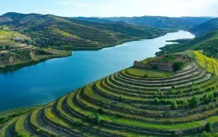 重點(diǎn)行業(yè)VOCs治理“一企一策”！寧夏空氣質(zhì)量持續(xù)改善行動(dòng)實(shí)施方案公開征求意見