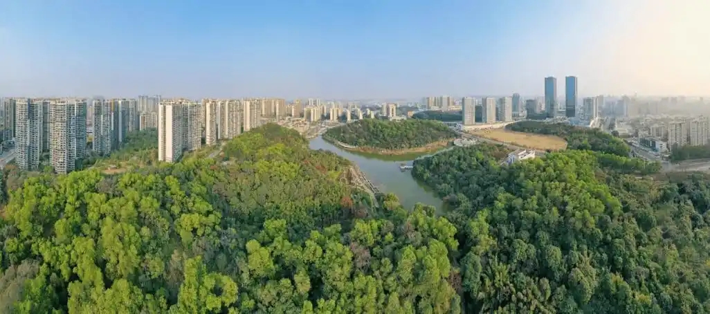“三進(jìn)三同”攜手共進(jìn)，江門站助力區(qū)縣監(jiān)測(cè)見成效