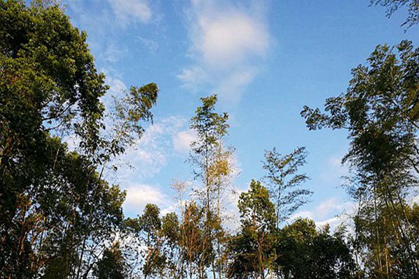 包河區(qū)生態(tài)環(huán)境分局：藍(lán)天不是等出來的，是干出來的